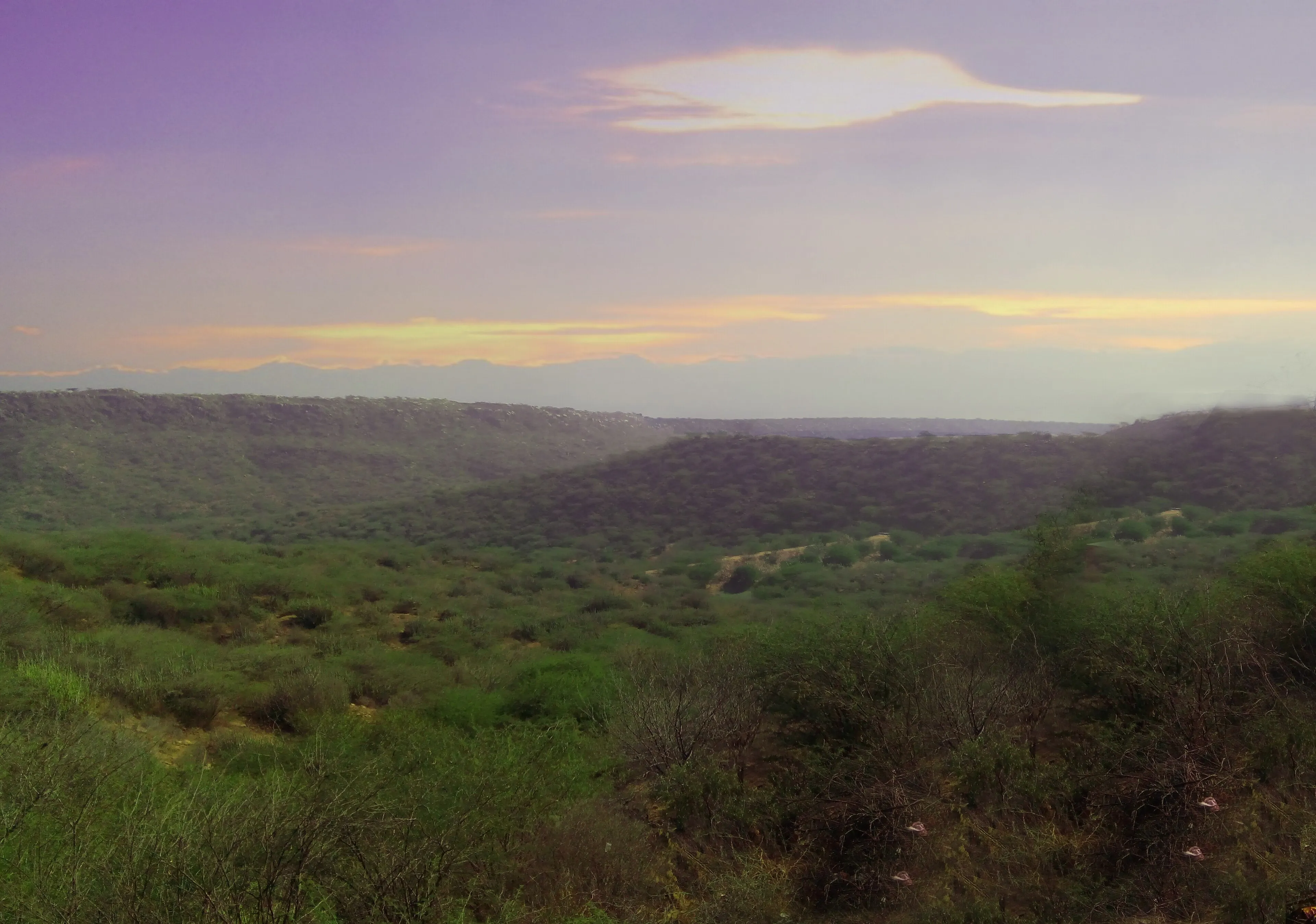 3N / 4D Kutch Tour Package — A short trip that travels around the whole of Kutch — including the Indo-Pak border and the Chari Dhand bird sanctuary.